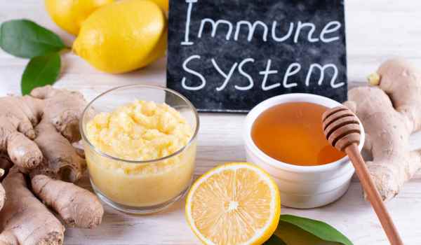 Immune System